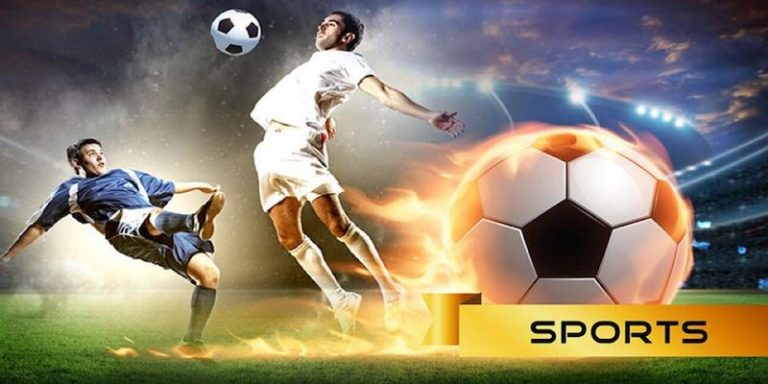 aa234 bet Descubra o vibrante mundo dos esportes online em